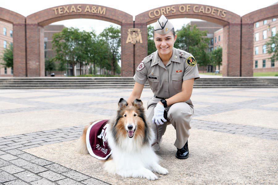 Reveille IX